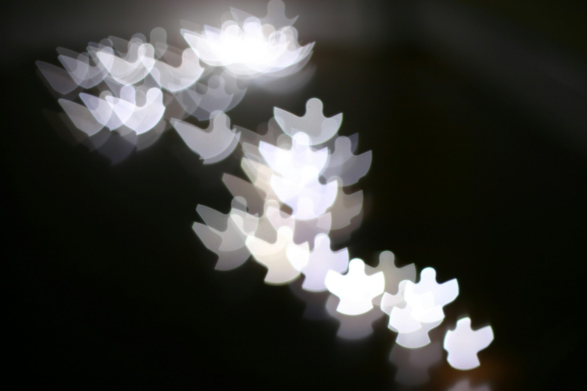Bokeh lumineux en forme d'oiseaux
