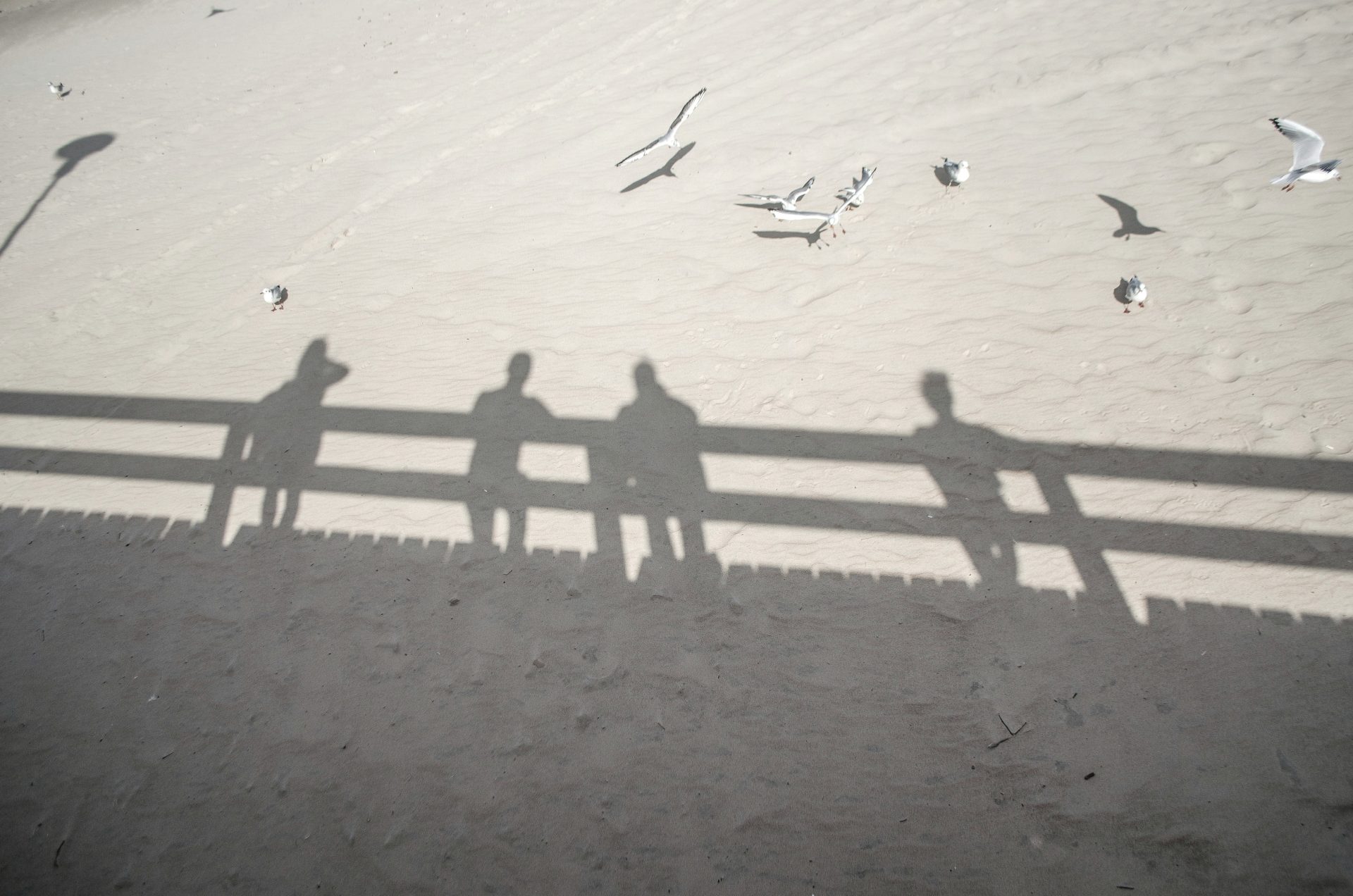Ombres sur la plage sableuse